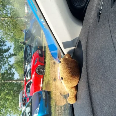 Reisbrennen 2024 - 20th Anniversary