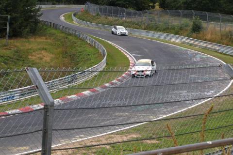 p8153674-5e6924700103c.jpeg